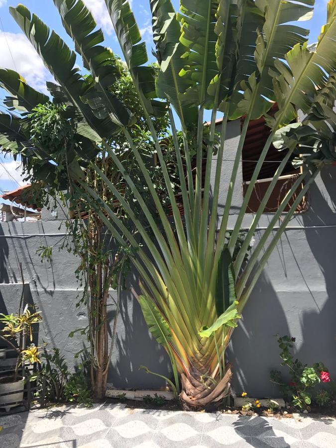 Guilherme Hostel Fortaleza  Exterior photo